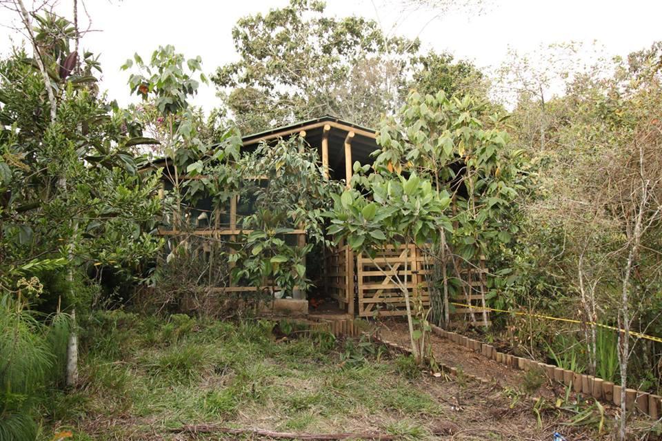 Monte Helicon Ecolodge And Spa Medellín Exteriör bild