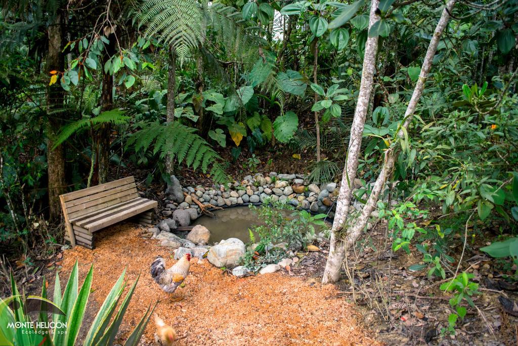 Monte Helicon Ecolodge And Spa Medellín Exteriör bild